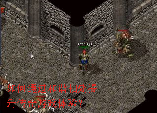 ���ͨ����г�ദ����������Ϸ���飿