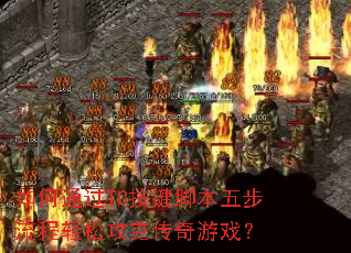 ���ͨ��TC�����ű��岽�������ɹ��˴�����Ϸ��