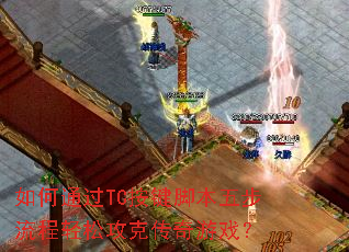 ���ͨ��TC�����ű��岽�������ɹ��˴�����Ϸ��