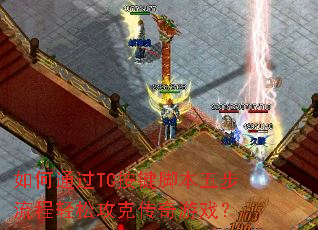 ���ͨ��TC�����ű��岽�������ɹ��˴�����Ϸ��