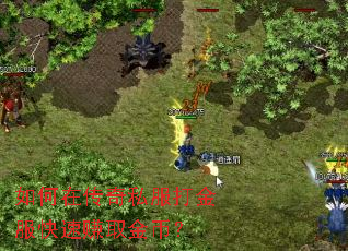 ����ڴ���˽����������׬ȡ��ң�