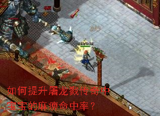 如何提升屠龙戮传奇中宝宝的麻痹命中率? 如何提升屠龙戮传奇中宝宝的麻痹命中率?