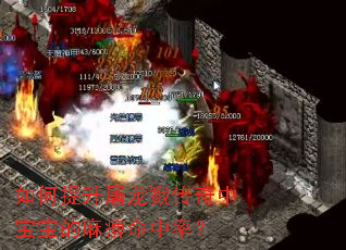 如何提升屠龙戮传奇中宝宝的麻痹命中率? 如何提升屠龙戮传奇中宝宝的麻痹命中率?