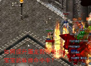 如何提升屠龙戮传奇中宝宝的麻痹命中率? 如何提升屠龙戮传奇中宝宝的麻痹命中率?