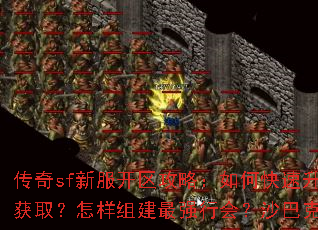 ����sf�·��������ԣ���ο���������װ����ô��ȡ�������齨��ǿ�л᣿ɳ�Ϳ˹���ȫ���ɽ���