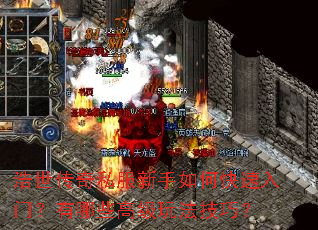 ��������˽��������ο������ţ�����Щ�߼��淨���ɣ�