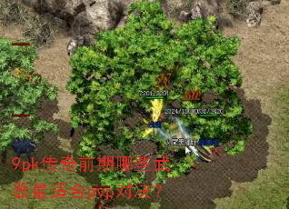 9pk����ǰ����Щ�������ʺ�pvp�Ծ���