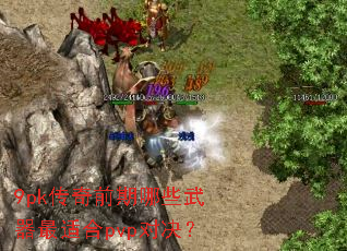 9pk����ǰ����Щ�������ʺ�pvp�Ծ���