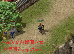 9pk����ǰ����Щ�������ʺ�pvp�Ծ���