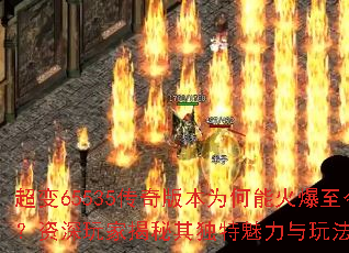 ����65535����汾Ϊ���ܻ�����������ҽ���������������淨����