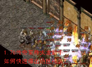 1.76�����������������ο��ٱ���������װ��