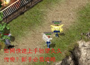 ��ο������ֳ����þô��棿���ֱؿ�����