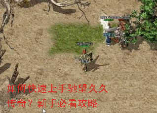 ��ο������ֳ����þô��棿���ֱؿ�����