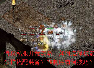 ����˽�����Ĺ��ԣ����ѡ���ܣ���������װ����PK��ʤ�кμ��ɣ�