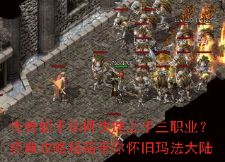 ����������ο���������ְҵ�����乥���ؼ����㻳���귨��½