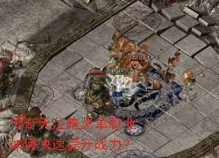 �����������ڵ�ְҵ��ο�������ս����