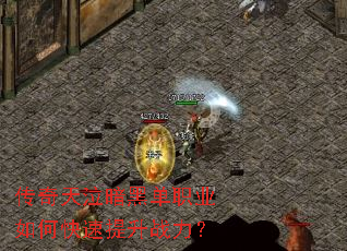 �����������ڵ�ְҵ��ο�������ս����