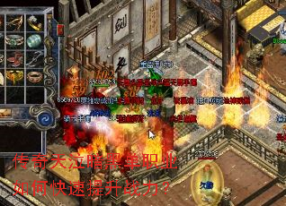 �����������ڵ�ְҵ��ο�������ս����