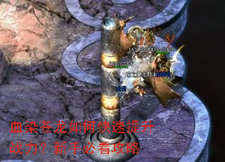 ѪȾ������ο�������ս�������ֱؿ�����