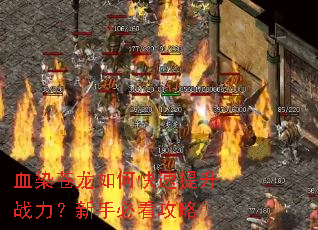 ѪȾ������ο�������ս�������ֱؿ�����