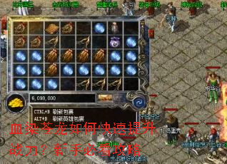 ѪȾ������ο�������ս�������ֱؿ�����