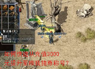 ��ο��ٴӳ�ֵ3000Ԫ������Ψ�Ҷ���ƺţ�