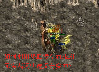 ���������Ѫ�����·�ˢԪ��©����������ʵ����