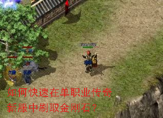 ��ο����ڵ�ְҵ�����·���ˢȡ���ʯ��