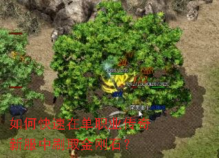 ��ο����ڵ�ְҵ�����·���ˢȡ���ʯ��