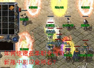 ��ο����ڵ�ְҵ�����·���ˢȡ���ʯ��