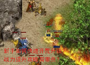 ������ο��ٿ���������ս��������������Щ��