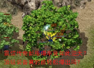 �𾪴����·����ʾ�������죿����װ����������ɱ�����