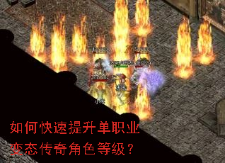 ��ο���������ְҵ��̬�����ɫ�ȼ���