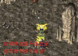 ��ο���������ְҵ��̬�����ɫ�ȼ���