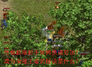 �����·�������ο��ٵǶ�����Ϊȫ�����ߵ��ؾ���ʲô��