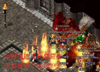 ��ο�������ʢ�״����·���ɫ�ȼ���