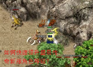 ��ο�������ʢ�״����·���ɫ�ȼ���