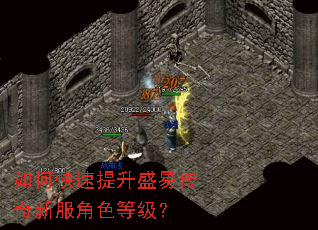 ��ο�������ʢ�״����·���ɫ�ȼ���