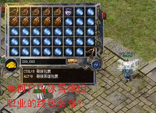 ��δ����ѩ����ְҵ���ռ�װ����