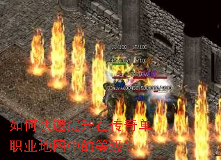 ��ο��������ڴ��浥ְҵ��ͼ�еĵȼ���