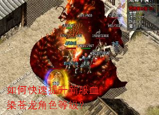 ��ο��������·�ѪȾ������ɫ�ȼ���