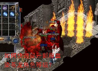 ��ο��������·�ѪȾ������ɫ�ȼ���