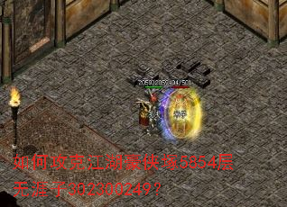 ��ι��˽��������V5854��������302300249��