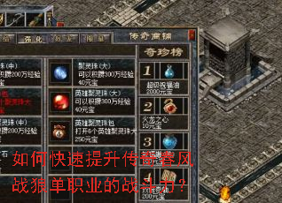 ��ο����������洺��ս�ǵ�ְҵ��ս������