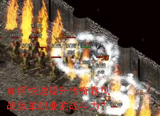 ��ο����������洺��ս�ǵ�ְҵ��ս������