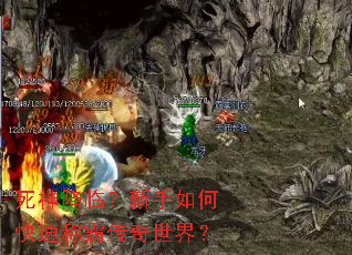 �����٣�������ο��ٳưԴ������磿