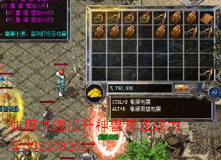 ��ο���������������ս����302300253��