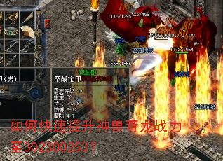 ��ο���������������ս����302300253��