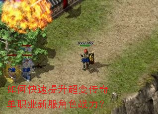 ��ο����������䴫�浥ְҵ�·���ɫս����