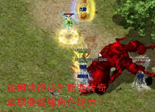 ��ο����������䴫�浥ְҵ�·���ɫս����